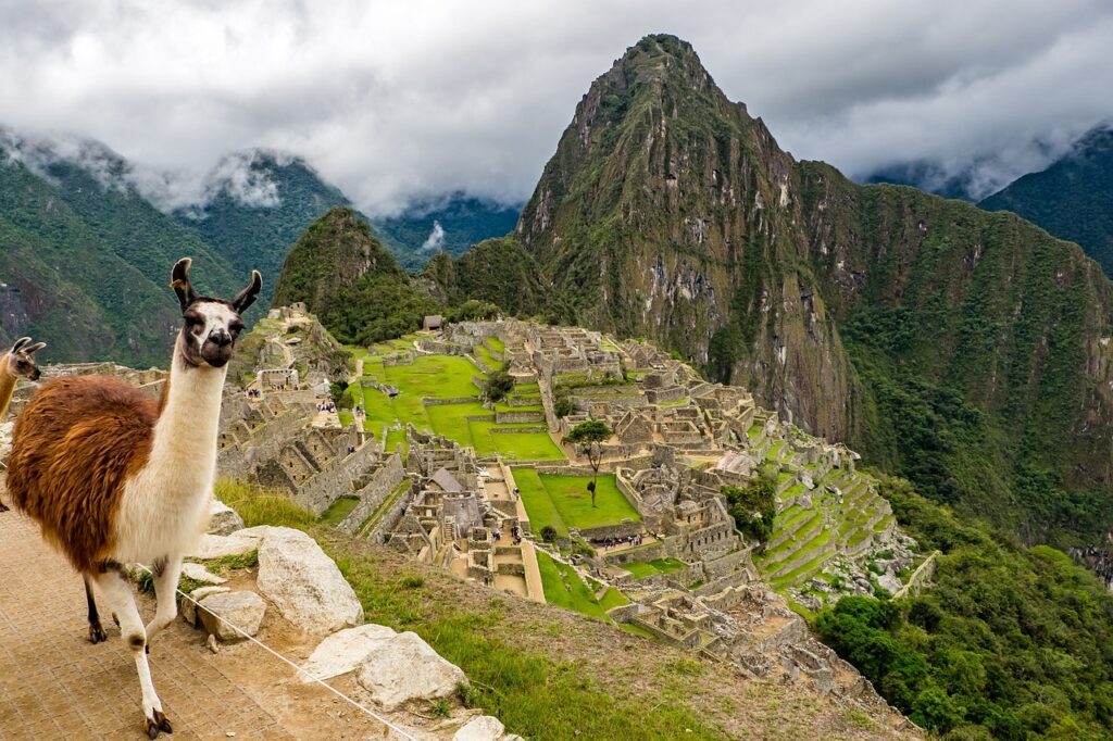 peru, machu picchu, lama-2774925.jpg